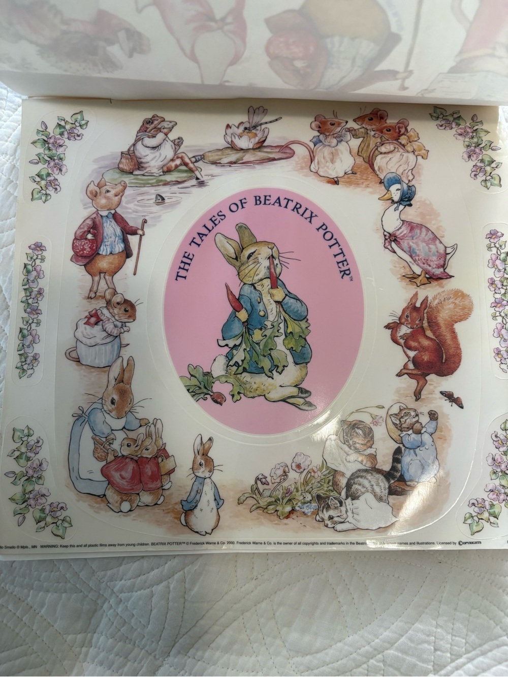 Pink Peter Rabbit Decorative Window Clings